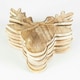 image 2 of Sass & Belle Stag Head Coasters Set of 4 Wooden