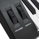image 5 of Axus AXP2 Electronic Keyboard
