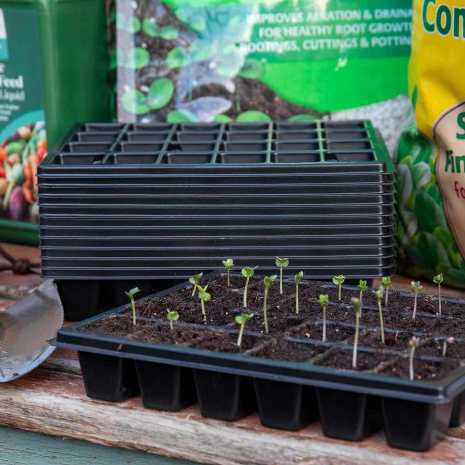 image 1 of Marshalls Garden 12-Pack 24-Cell Black Seed Trays