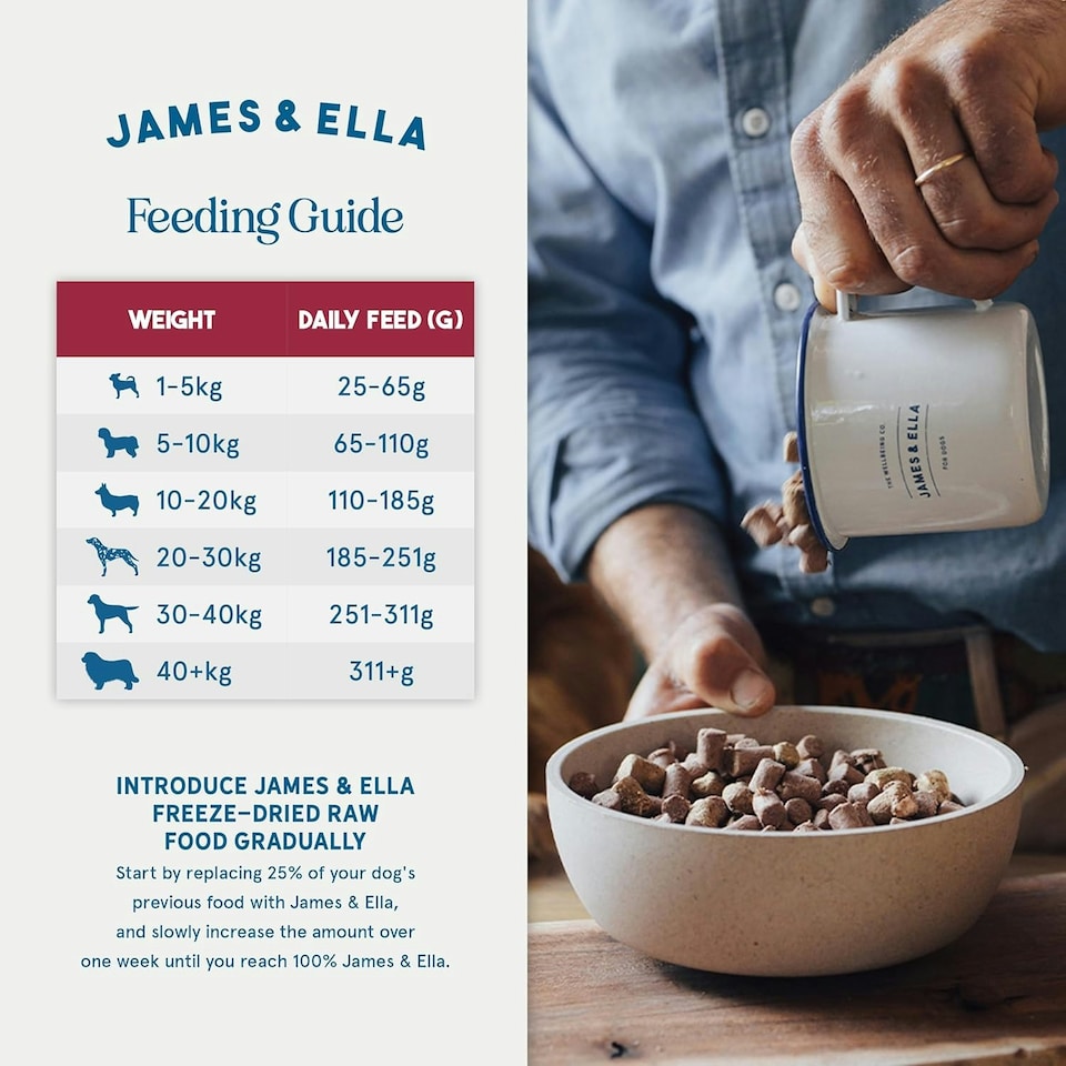 image 1 of Freeze-Dried Raw Dog Food - Grass-Fed Beef 100g