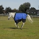 image 5 of Rhinegold Phoenix Outdoor Rug N/A | Colour: Royal
Size: 5ft 6