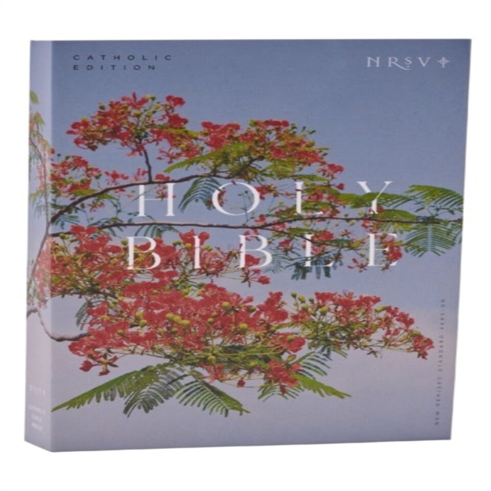 Nrsv Catholic Edition Bible Royal Poinci
