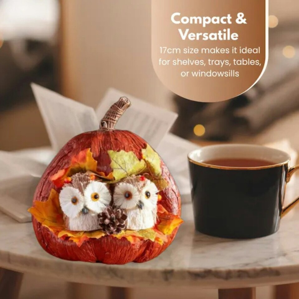image 1 of Marco Paul Autumn Pumpkin Ornament with Owls Fall Decoration 17cm
