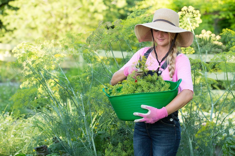 image 1 of Red Gorilla - Gorilla Tub 15L - Flexible Multi-Use Shallow Bucket | Yellow