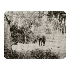 Elephant jungle (Blanket)
