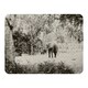 image 1 of Elephant jungle (Blanket)