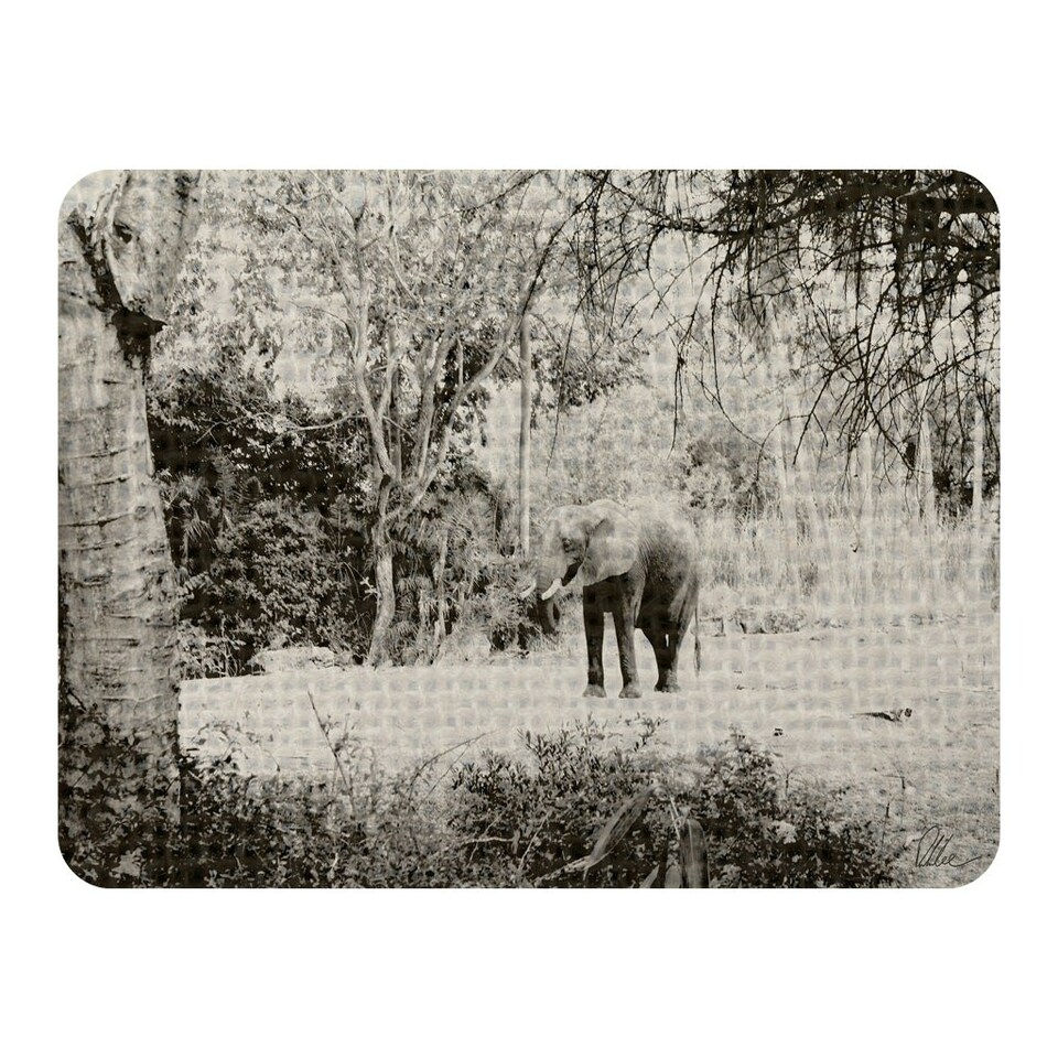 image 1 of Elephant jungle (Blanket)