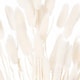 image 3 of Dried Bunny Tail Bunch of 60 Artificial Plant - H60 cm - White