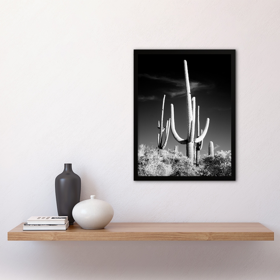 image 1 of Carol M Highsmith Saguaro Cactus Black White Photograph Framed Wall Art Print A3