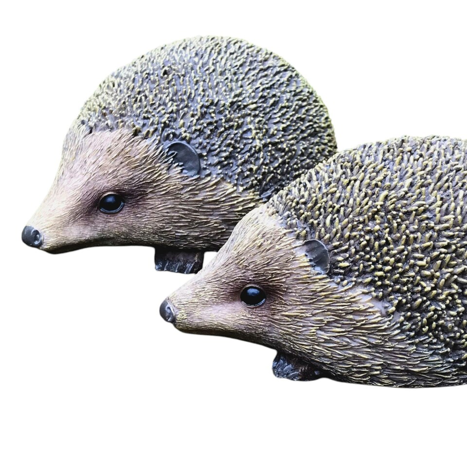 image 1 of Set Of Two Hedgehogs Home Or Garden Decorations