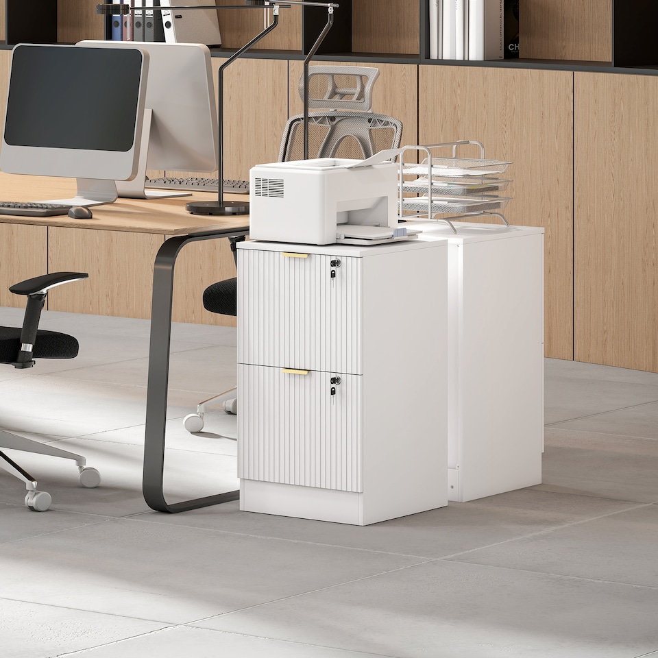 image 1 of Filing Cabinet, File Cabinet with 2 Lockable Drawers and Hanging Rails | White | White | 40 x 40 x 71 cm