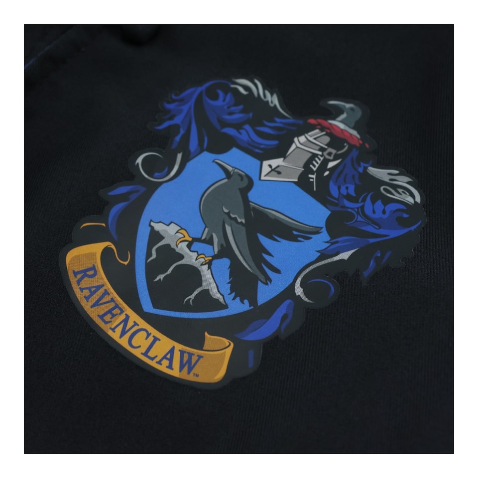 image 1 of Harry Potter Costume - 4Pcs - Ravenclaw Cloak, Tie, Tattoos & Wand | Multi | S