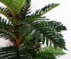 image 3 of Artificial Large Palm Tree with Natural Trunk 150cm  - Realistic plant by Botanik | Green | 5ft