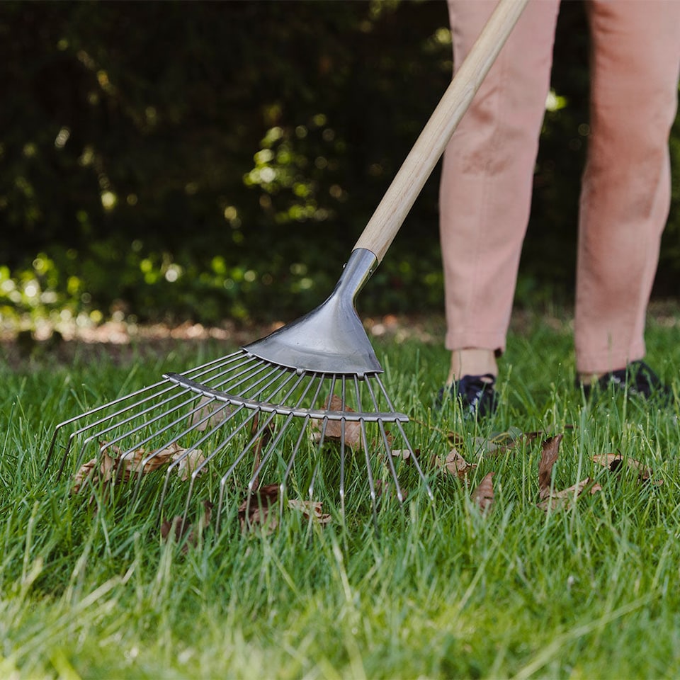 image 1 of Kent & Stowe Garden Life Lawn Rake, Lightweight Stainless Steel Head with Ash Handle | Multi | 1 x Lawn Rake