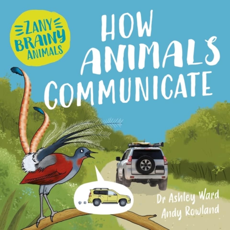 Zany Brainy Animals How Animals Commun