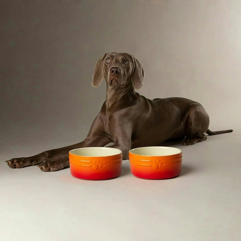 image 1 of Scruffs Ceramic Ombre Pet Food Bowl 19cm | Orange | 1