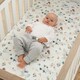 image 2 of Tutti Bambini Cot Fitted Sheets 2pk - Our Planet
