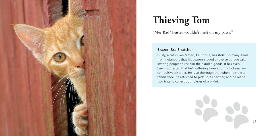 image 1 of Cats Gone Bad