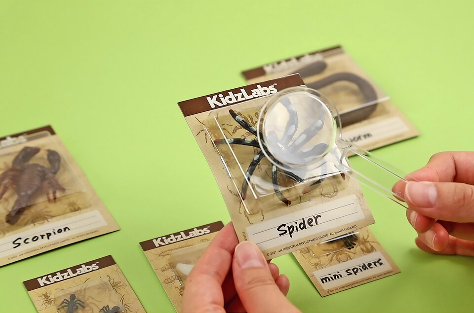 image 1 of Kidzlabs - Creepy Crawly Digging Lab