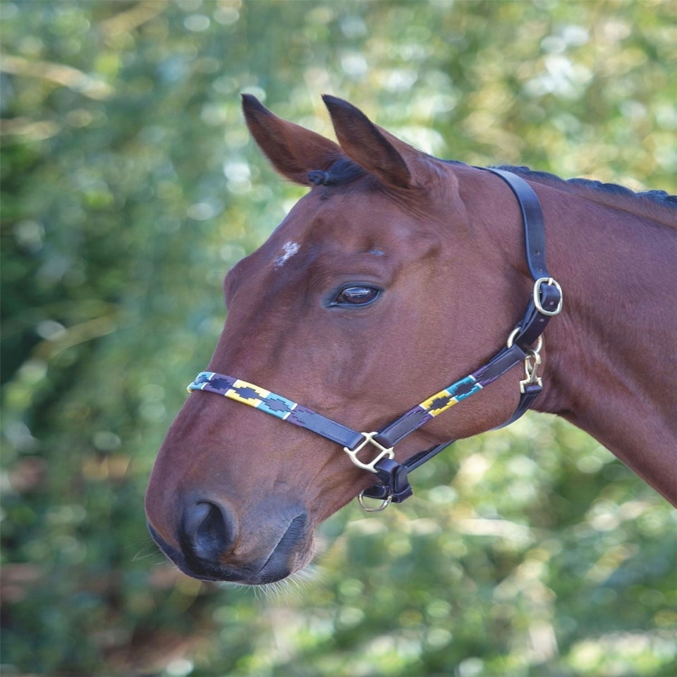 image 1 of Shires Blenheim Leather Polo Headcollar Blue | Colour: Purple/Natural/Navy
Size: Full