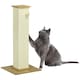 image 1 of PawHut Cat Scratch Post 80cm Tall, with Sisal Hanging Ball Toy, Oak Beige
