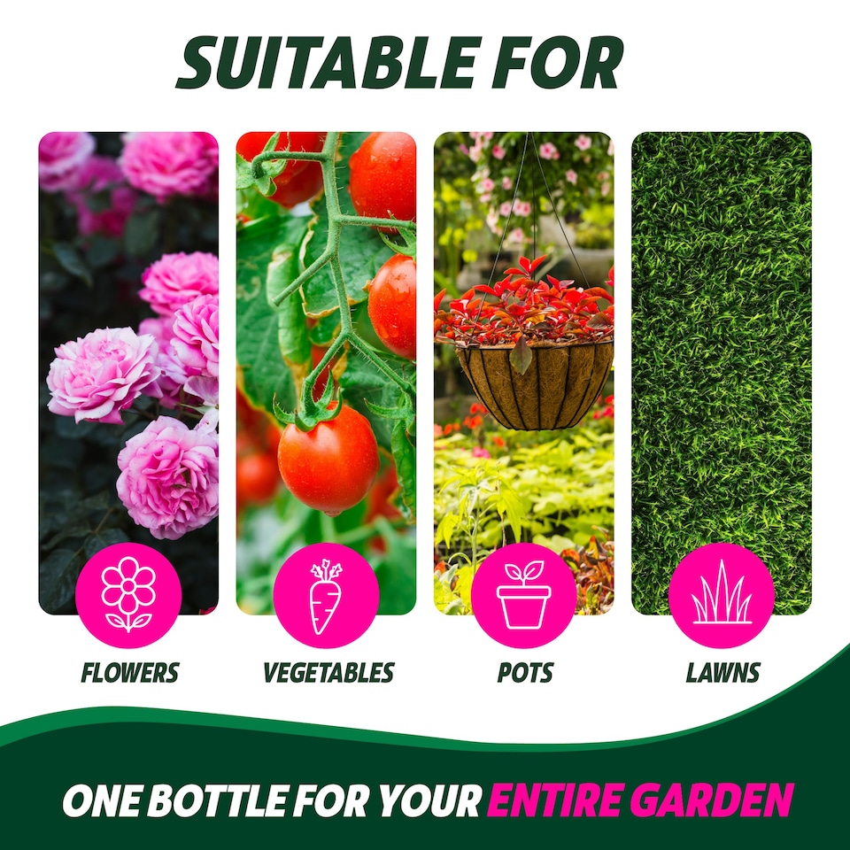 image 1 of One Chem Seaweed Plant Tonic Concentrate 1L- with Chitosan - Makes up to 333L - Boosts Root Development - Reduces Plant Stress - Flowers - Veg & Lawns - Liquid Fertiliser