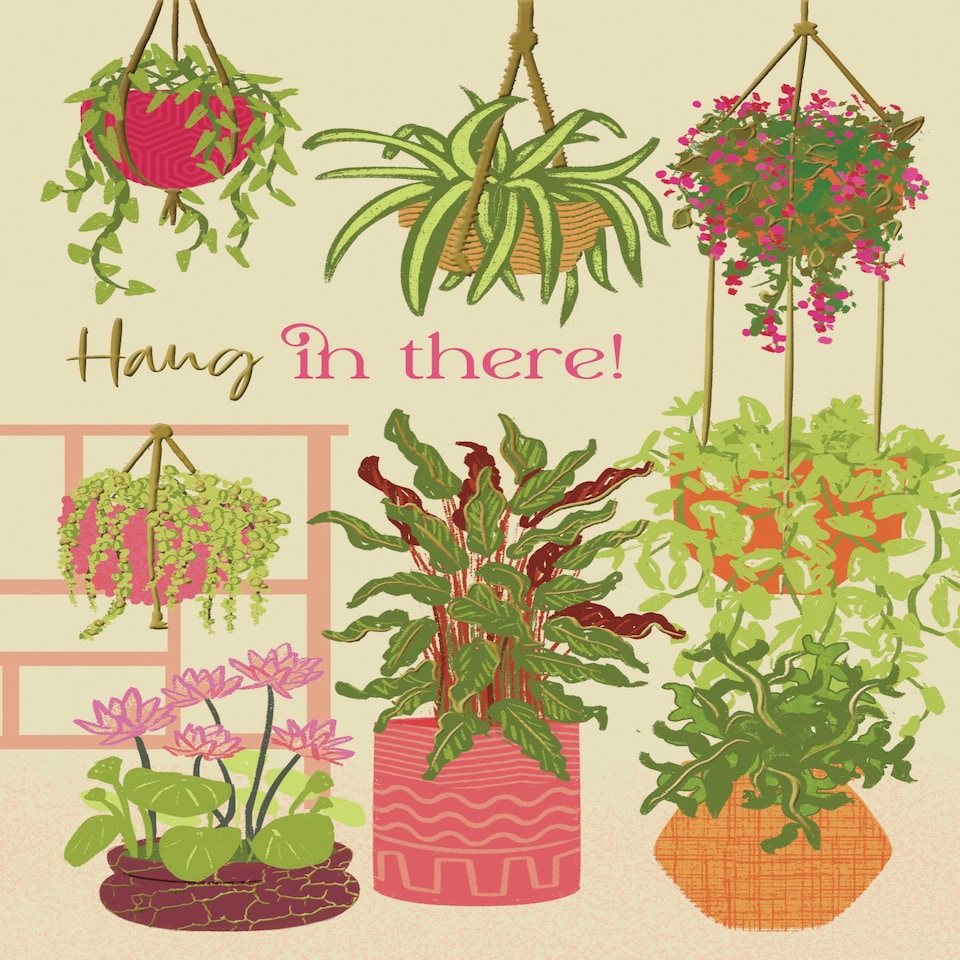 image 1 of Hang In There! - Thinking Of You Card