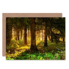 Sunrise Sunshine Through Forest Trees Good Luck Card