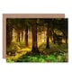 image 1 of Sunrise Sunshine Through Forest Trees Good Luck Card