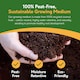 image 2 of Pronto Seed Grow Your Own Kitchen Herb Seed Kit - 5 Varieties - A Thoughtful Gift for Foodies | Multi | Herbs | 1