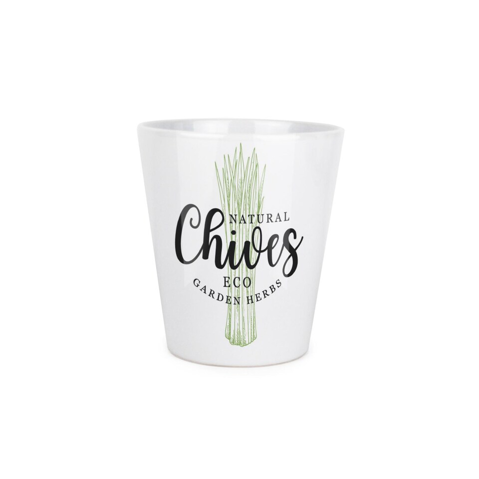 image 1 of Fresh Green Herbs Small Ceramic Chives Plant Pot