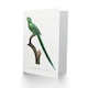image 2 of Francois Levaillant Art Card The Long Tailed Parakeet