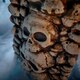 image 5 of Home Accents 7.5ft Tall Skull and Bones Halloween Entrance Archway Decoration