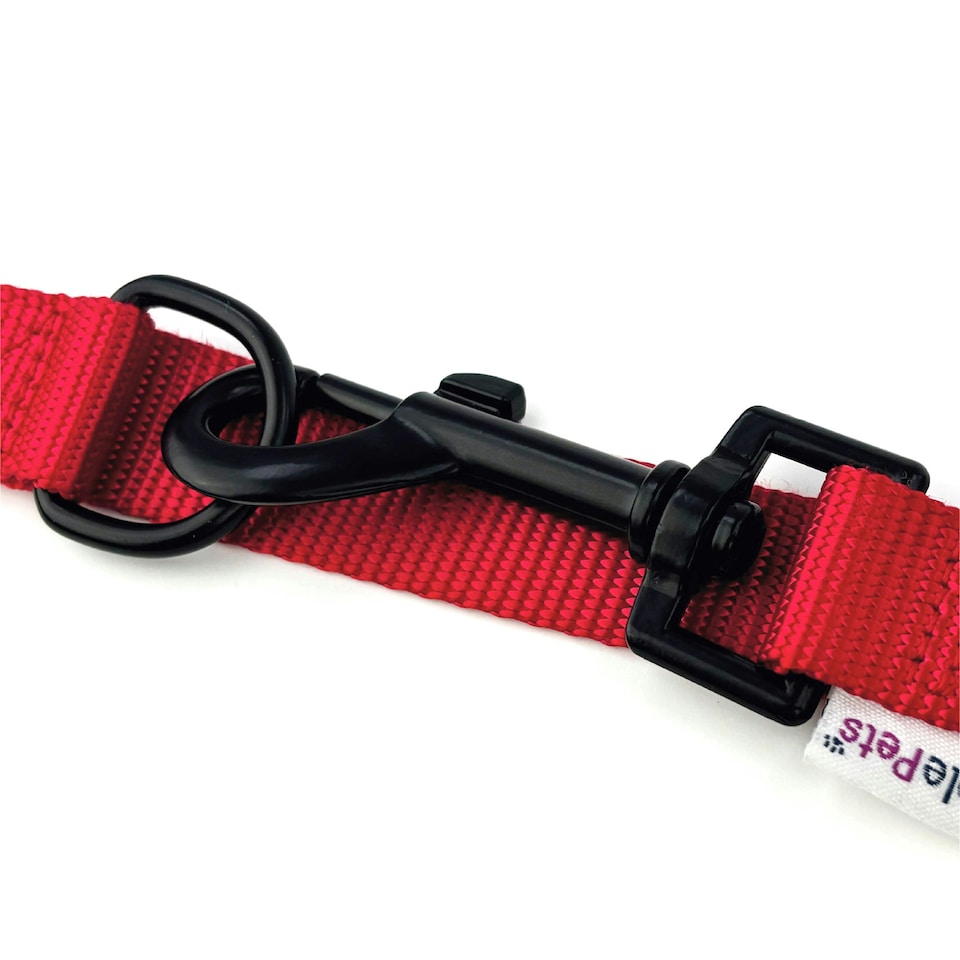 image 1 of HugglePets 10 in 1 Dog Training Lead - 200 x 1.9cm Red