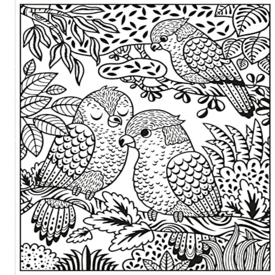 image 1 of Magic Painting Zoo - 18D Kids Activity & Sticker - PAPERBACK - 9781474948524 N/A | One Size