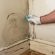 image 3 of Dryzone 100 Mould Spray & Dryzone Anti-Mould Paint Additive - Remove & Prevent Mould