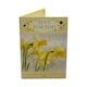 image 2 of Just For You Spring Daffodils and Butterflies Design Easter Card