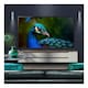 image 8 of LG 50UA75006LA.AEK TV 127 cm (50 Inches) 4K Ultra HD Smart TV Wi-Fi Black