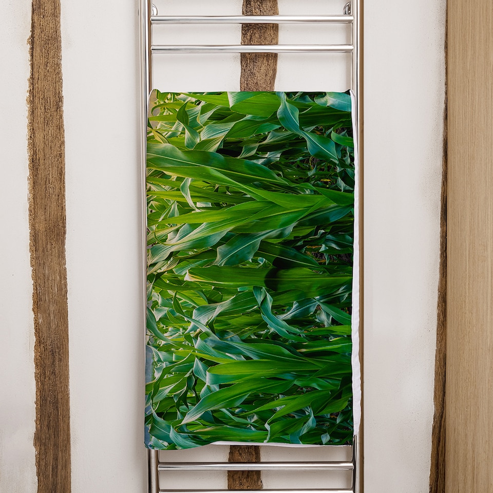 image 1 of green corn field in agricultural garden and light shines sunset Designer Bath Towel | Multi