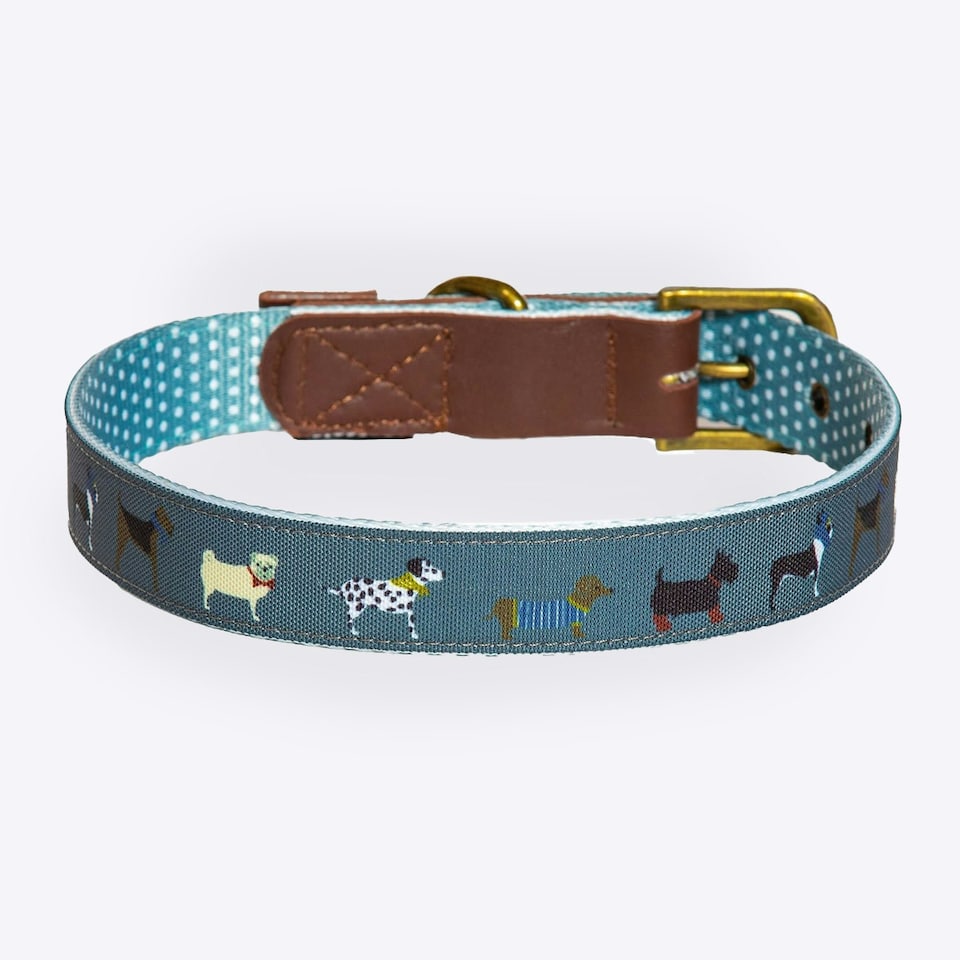image 1 of FatFace Marching Dogs Collar Medium 2cm (100% Polyester)&nbsp;&nbsp;