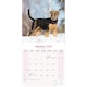 image 3 of Airedale 2026 Calendar | Square Wall Calendar | Dog Breed Gift | Plastic Free Packaging | by Avonside Publishing