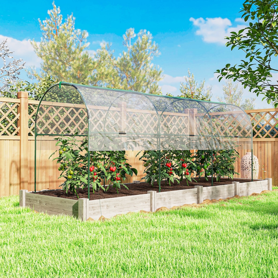 image 1 of Outsunny Tomato Greenhouse with Top Tap, Pointed Bottom and Guy Ropes, Clear
