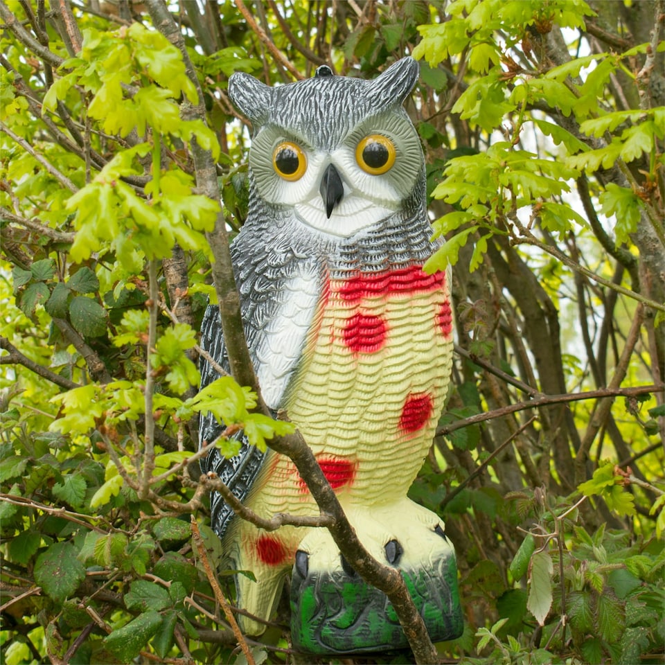 image 1 of Twin Pack Pond Decoy Realistic Owl And Heron Pest Deterrent Scarer Koi Carp Fish