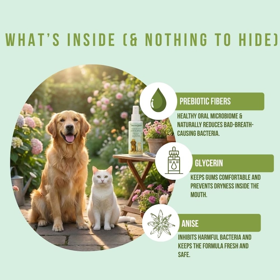 image 1 of Tails of Glory All Natural No-Brush Dental Spray for Dogs & Cats