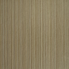 Pazin Wallpaper in Brown | Brown | Brown | 53cm x 10m
