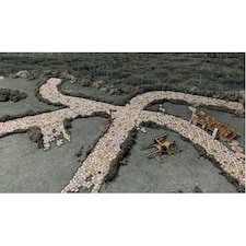 Roads & Rivers