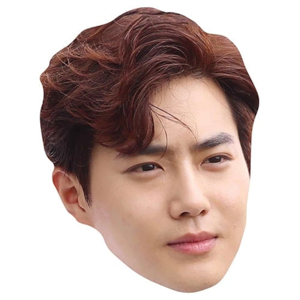 Exo Suho Kim Jun-myeon Cardboard Face Mask