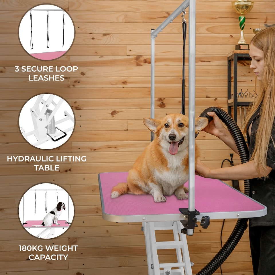 image 1 of White Hydraulic Grooming Table - Pink Table Top