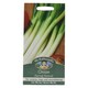 image 1 of Mr. Fothergills Onion (Spring) Ramrod Seeds
