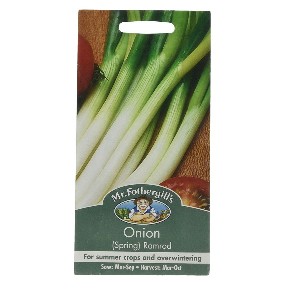 image 1 of Mr. Fothergills Onion (Spring) Ramrod Seeds